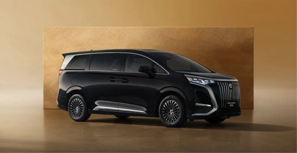 DENZA-D9 byd-denza-d9