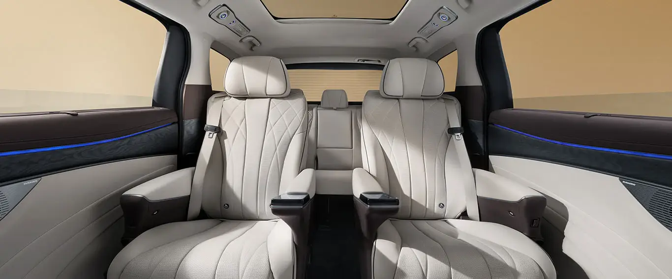 DENZA-D9 byd-denza-d9