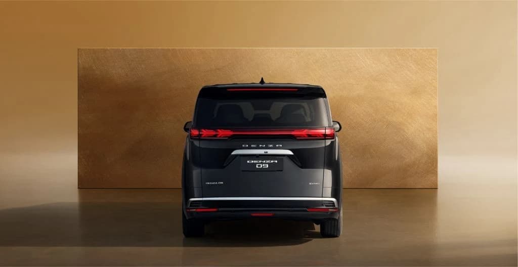 DENZA-D9 byd-denza-d9
