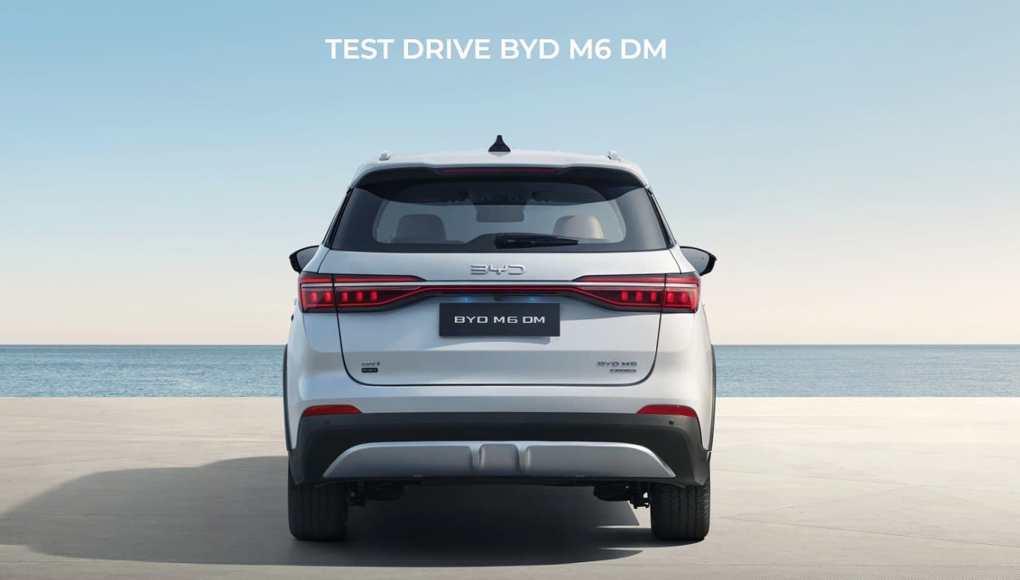 M6-DM byd-m6-dm
